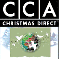 CCA Group Ltd