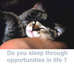 Do you sleep through opportunities in life?